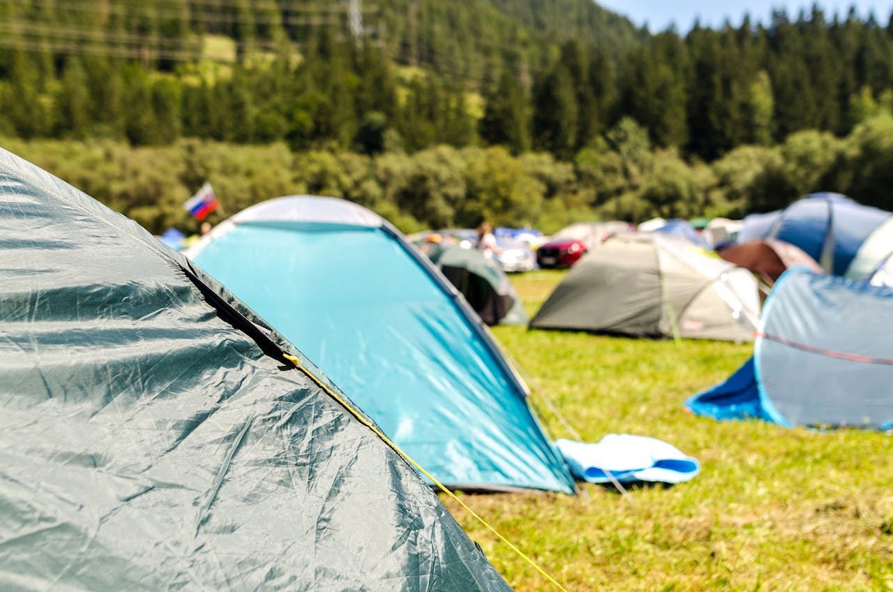 services-04 Vibrant camping tents set up in a lush forest landscape under a sunny sky.